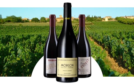 Jean Paul Brun - Terres Dorées