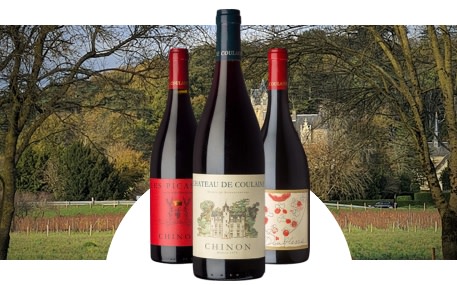 Château de Coulaine