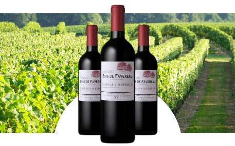 Château Bois de Favereau