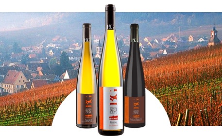 Domaine Bott-Geyl
