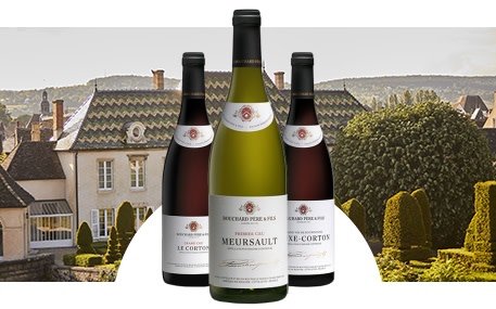 Bouchard Padre e Figlio