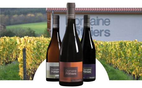 Domaine des Pothiers