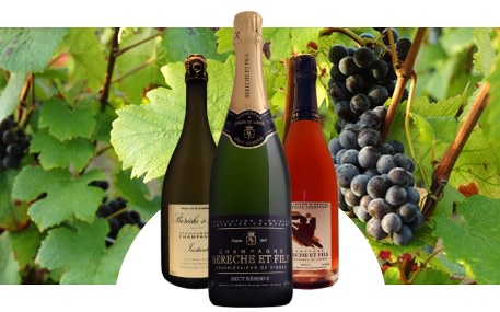 Champagne Bérèche et Fils
