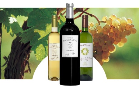 Château Moulin Caresse