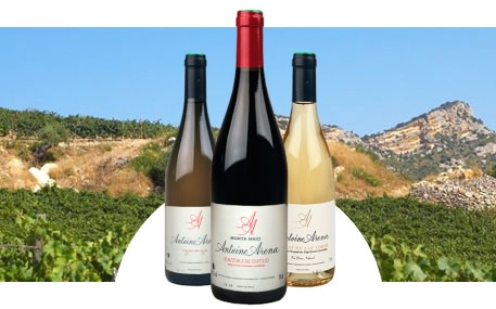 Domaine Antoine Arena