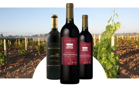 Château Haut-Canteloup