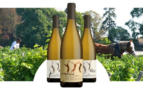 Domaine Michel Chevré