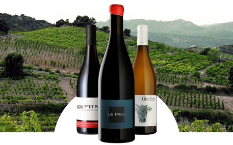 Domaine Olivier Pithon