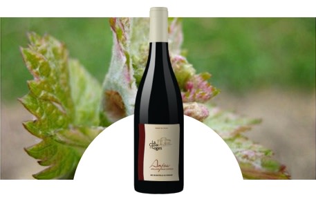 Domaine La Croix des Loges