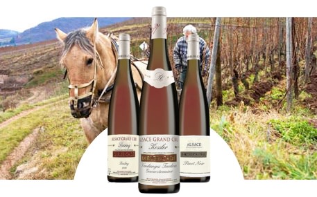 Domaine Dirler-Cadé