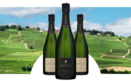 Agrapart & Sons Champagne