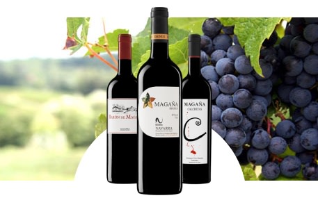 Bodegas Viña Magaña