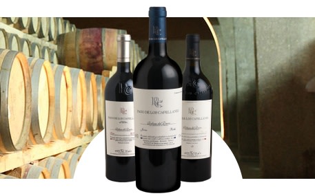 Bodega Pago de los Capellanes