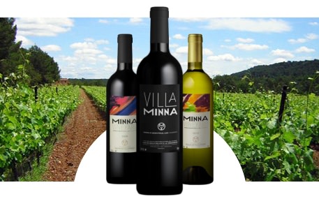 Villa Minna Vineyard