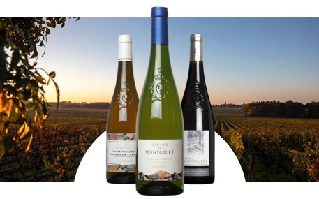 Domaine de Montgilet