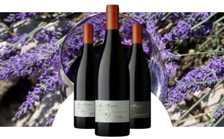 Domaine Mas d'Auzières