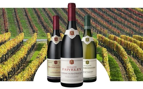 Domaine Faiveley