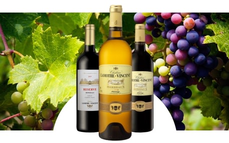 Château Lamothe-Vincent