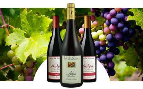 Domaine Charles Trosset