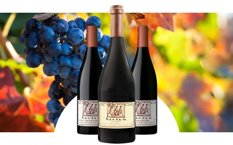 Domaine des Ouled Thaleb