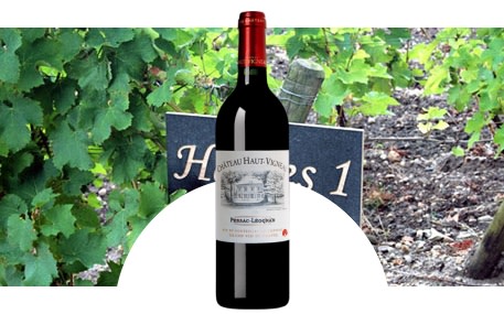 Kasteel Haut-Vigneau