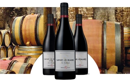 Domaine Decelle & Fils