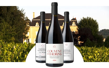 Schloss Moulin-à-Vent