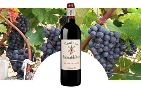 Castello Moulin de la Rose