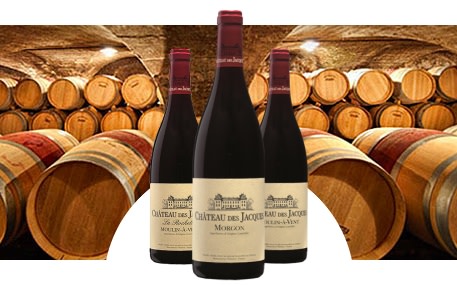 Château des Jacques