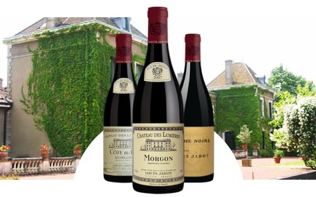 Château des Lumières