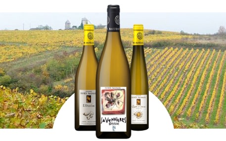 Domaine Patrick Baudouin