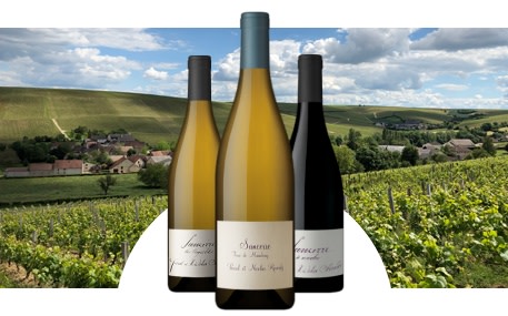 Domaine Pascal et Nicolas Reverdy