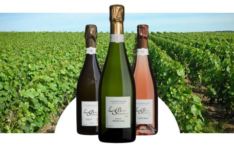 Champagne Le Brun-Servenay