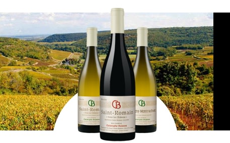 Domaine Christophe Buisson