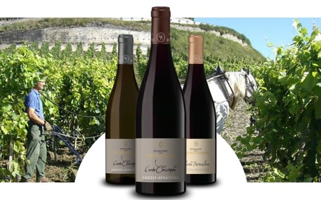 Domaine des Remizières