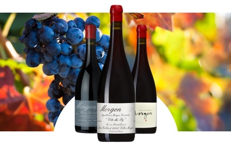 Domaine Jean Foillard