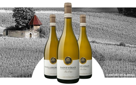 Vignerons des Terres Secrètes