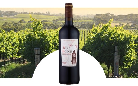 Château La Bure des Moines