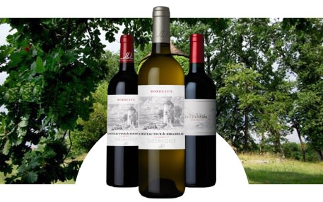 Château Tour de Mirambeau