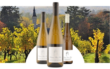 Château Pierre Bise