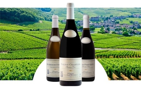 Domaine Jean-Marie Bouzereau