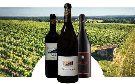 Château Plaisance Penavayre