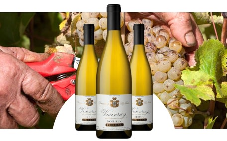 Domaine du Clos Naudin