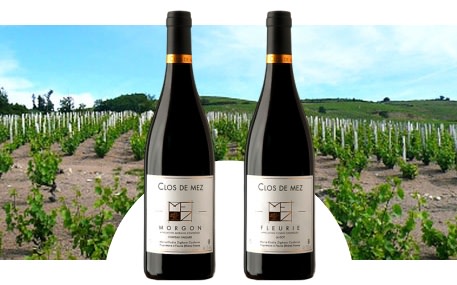 Domaine Clos de Mez