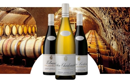 Domaine Antonin Guyon