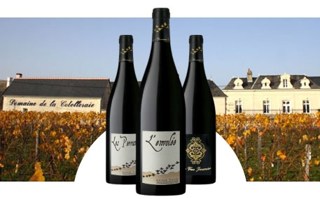 Domaine de la Cotelleraie