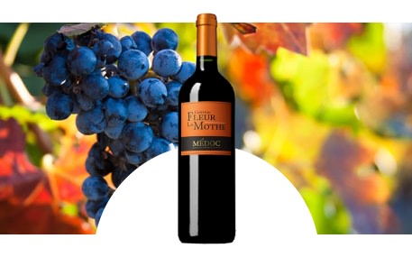 Château Fleur La Mothe