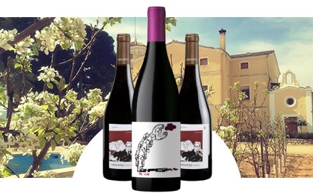 Weinkellerei El Angosto