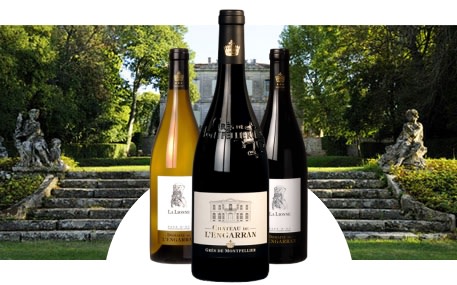 Château de l'Engarran