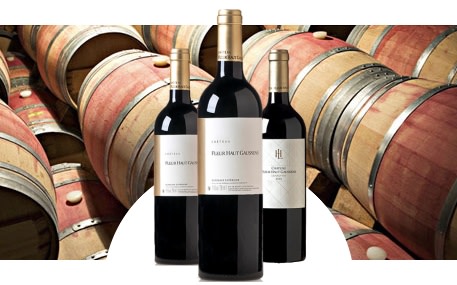 Château Fleur Haut Gaussens